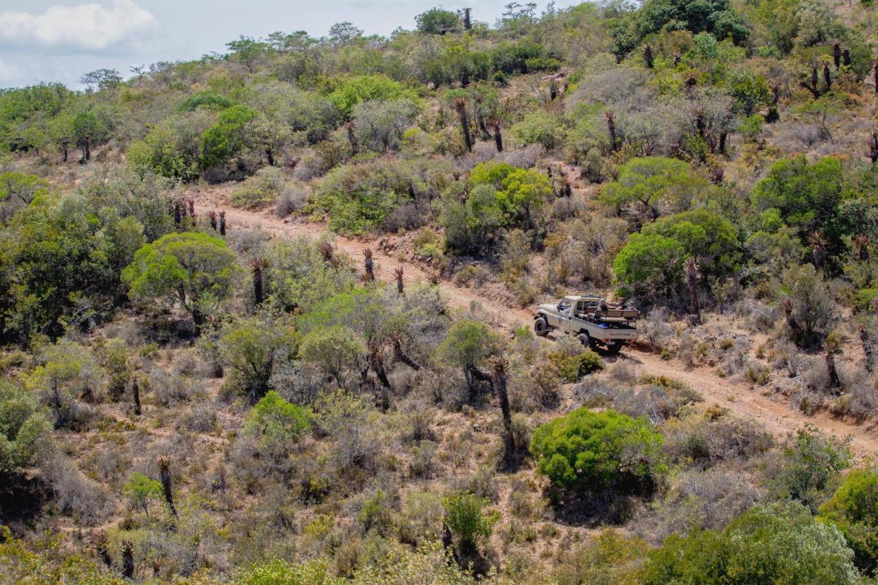 African Safari Lodge Grahamstown Dış mekan fotoğraf